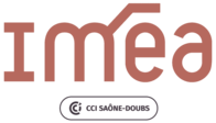 LOGO IMEA
